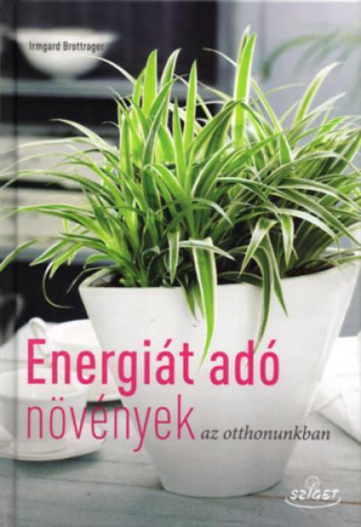 Energiát adó növények az otthonunkban