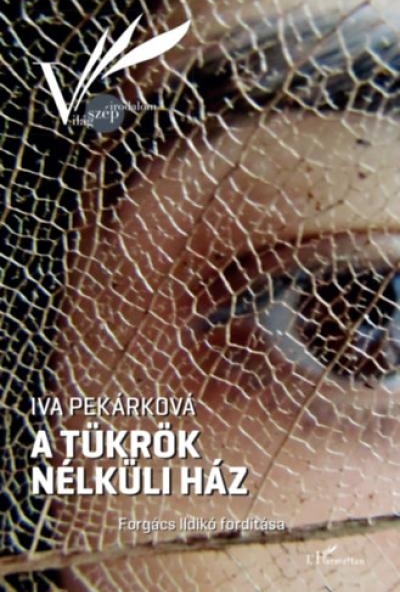 A tükrök nélküli ház