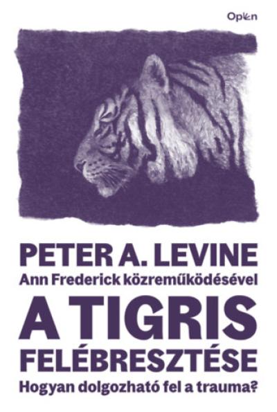 A tigris felébresztése
