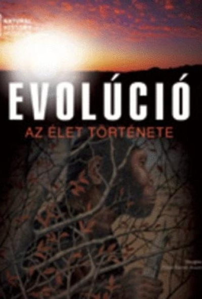 Evolúció