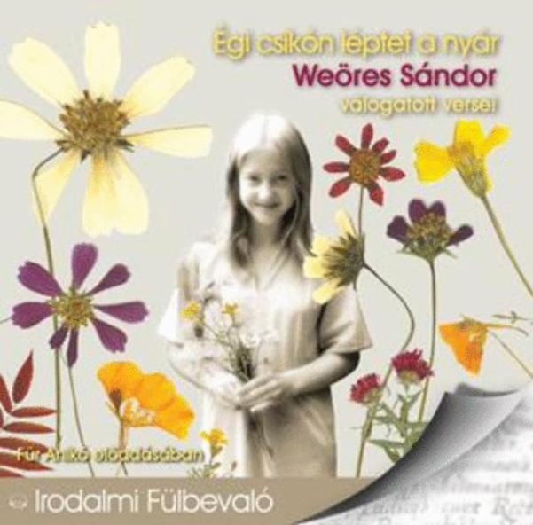 Égi csikón léptet a nyár - Hangoskönyv