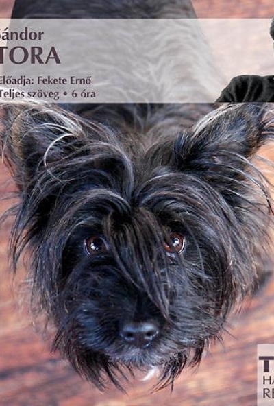 Csutora - Hangoskönyv - MP3