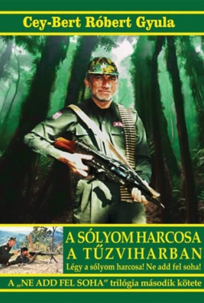 A sólyom harcosa a tűzviharban