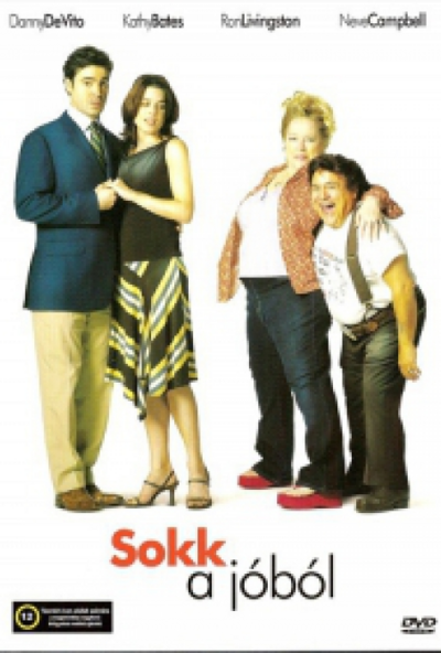 Sokk a jóból (DVD) *Kathy Bates - Danny DeVito - Antikvár - Kiváló állapotú*