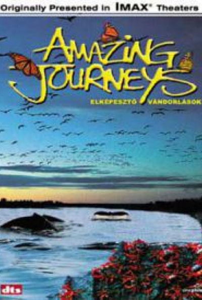 Elképesztő vándorlások (DVD) *Szinkronizált*  *Antikvár - Kiváló állapotú*
