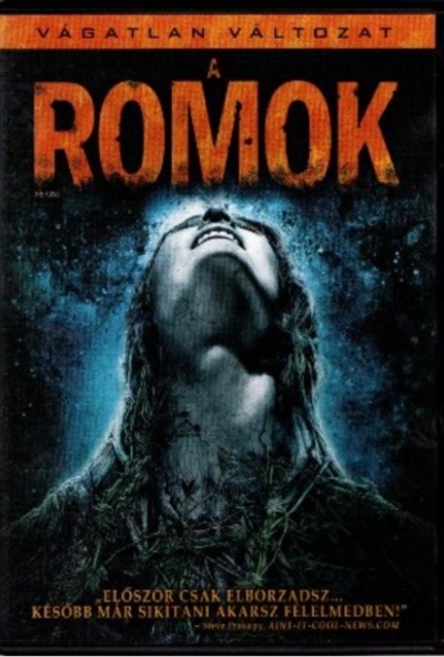 A romok (DVD) *Vágatlan változat*  *Antikvár - Kiváló állapotú*
