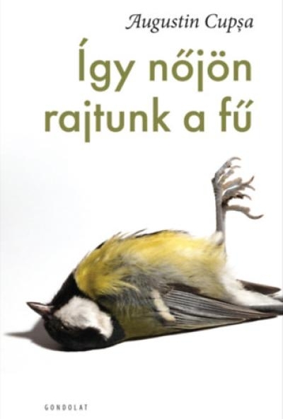 Így nőjön rajtunk a fű