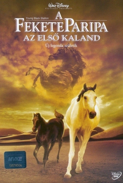 A fekete paripa - Az első kaland (DVD) *Szinkronizált*  *Antikvár - Kiváló állapotú*