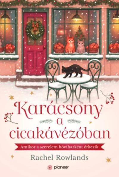 Karácsony a cicakávézóban