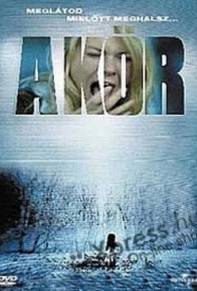 A kör 1. (DVD)  *2002 - Naomi Watts* *Antikvár - Kiváló állapotú*