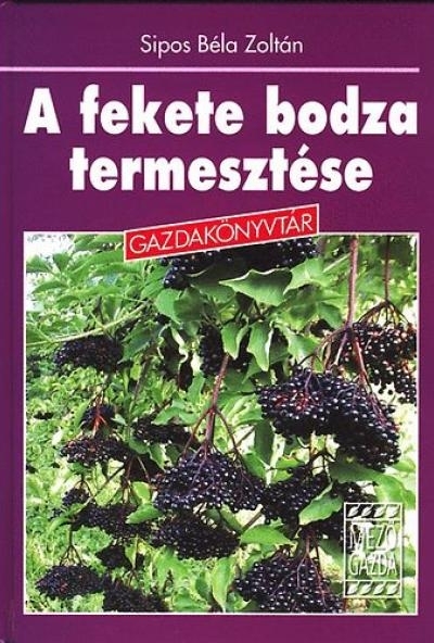 A fekete bodza termesztése