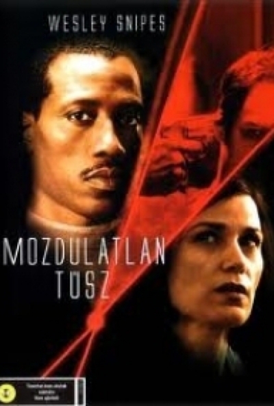 Mozdulatlan túsz (DVD) (Wesley Snipes - Antikvár - Kiváló állapotú)