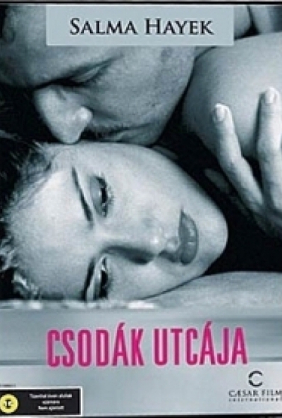 Csodák utcája (DVD)  *Salma Hayek - Antikvár - Kiváló állapotú*