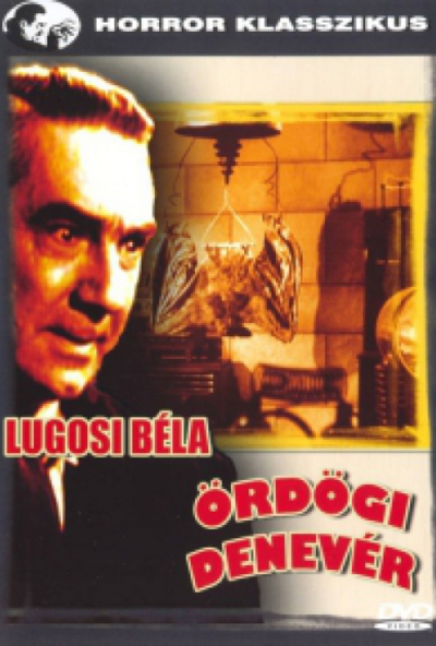 Ördögi denevér (DVD) *Horror klasszikus * *Lugosi Béla filmje - Antikvár - Kiváló állapotú*