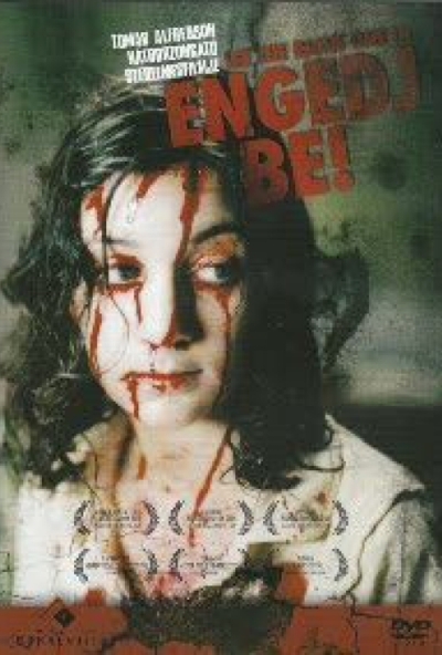 Engedj be! (DVD) *Szinkronizált - Tomas Alfredson filmje - Antikvár - Kiváló állapotú*  