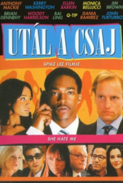 Utál a csaj (DVD) *Spike Lee filmje - Szinkronizált - Antikvár - Kiváló állapotú*