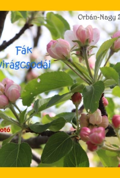 Fák virágcsodái
