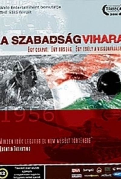 A szabadság vihara (DVD) *Andrew G. Vajna - Quentin Tarantino producer* *Antikvár - Kiváló állapotú*