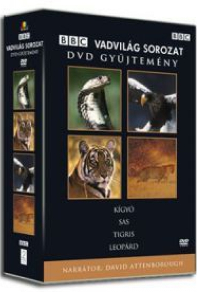 BBC Vadvilág sorozat 1. (Kígyó, Sas, Tigris, Leopárd) (4 DVD)
