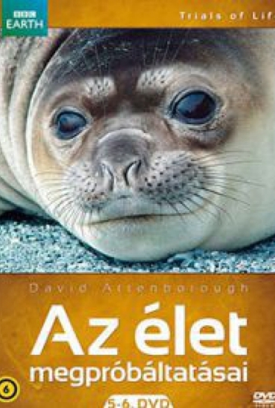 Az élet megpróbáltatásai 5-6. (2 DVD)