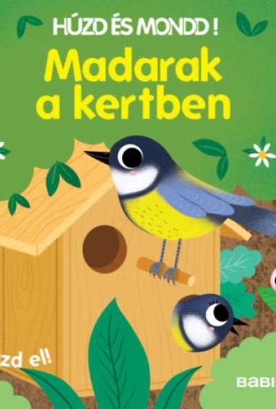 Húzd és mondd! - Madarak a kertben