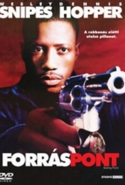 Forráspont *Wesley Snipes* (DVD)  *Antikvár - Kiváló állapotú*