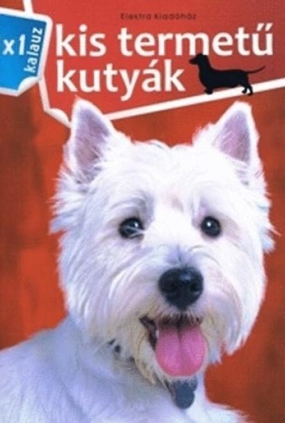 Kis termetű kutyák 