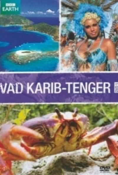 Vad Karib-tenger 1. (DVD)