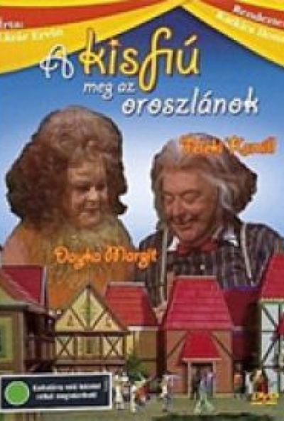 A kisfiú meg az oroszlánok (DVD)  *Feleki Kamill - Dajka Margit - Antikvár - Közepes állapotú*