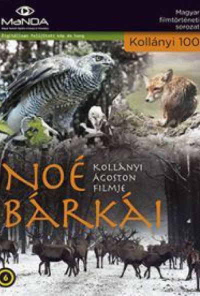 Noé bárkái (DVD) (MaNDA kiadás) *Antikvár - Kiváló állapotú*