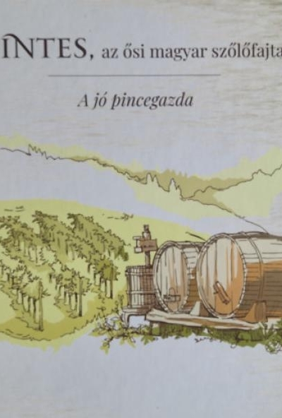 Pintes, az ősi magyar szőlőfajta