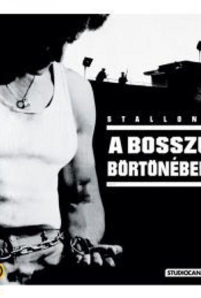 A bosszú börtönében (Blu-ray)  *Magyar kiadás - Antikvár - Kiváló állapotú* 