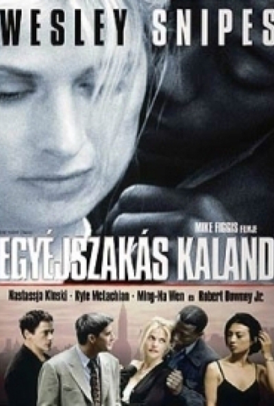 Egyéjszakás kaland (DVD) *Wesley Snipes - Nastassja Kinski - Antikvár - Kiváló állapotú*