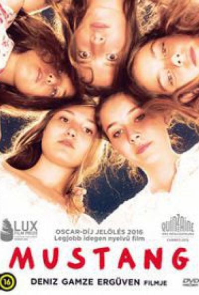 Mustang (DVD) *Antikvár - Kiváló állapotú*