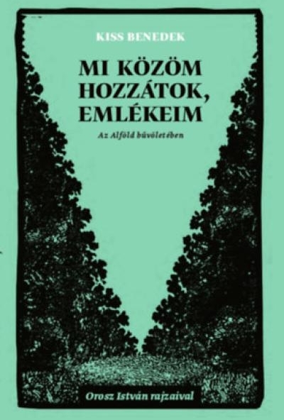 Mi közöm hozzátok, emlékeim