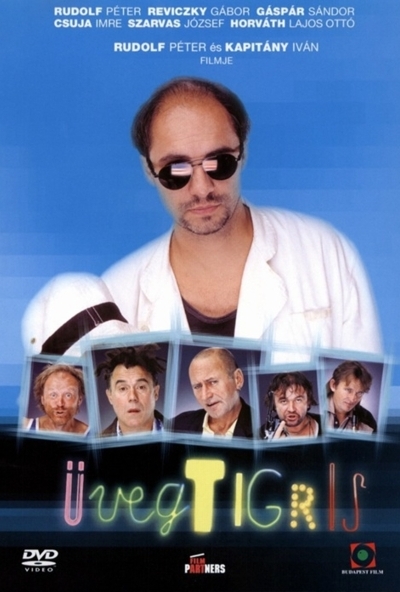 Üvegtigris 1. (DVD) *Antikvár - Kiváló állapotú*