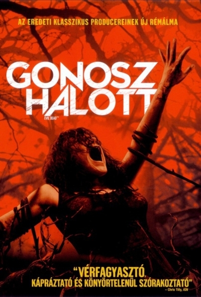 Gonosz halott (2013 - Fede Alvarez filmje) (DVD) *Antikvár - Kiváló állapotú*